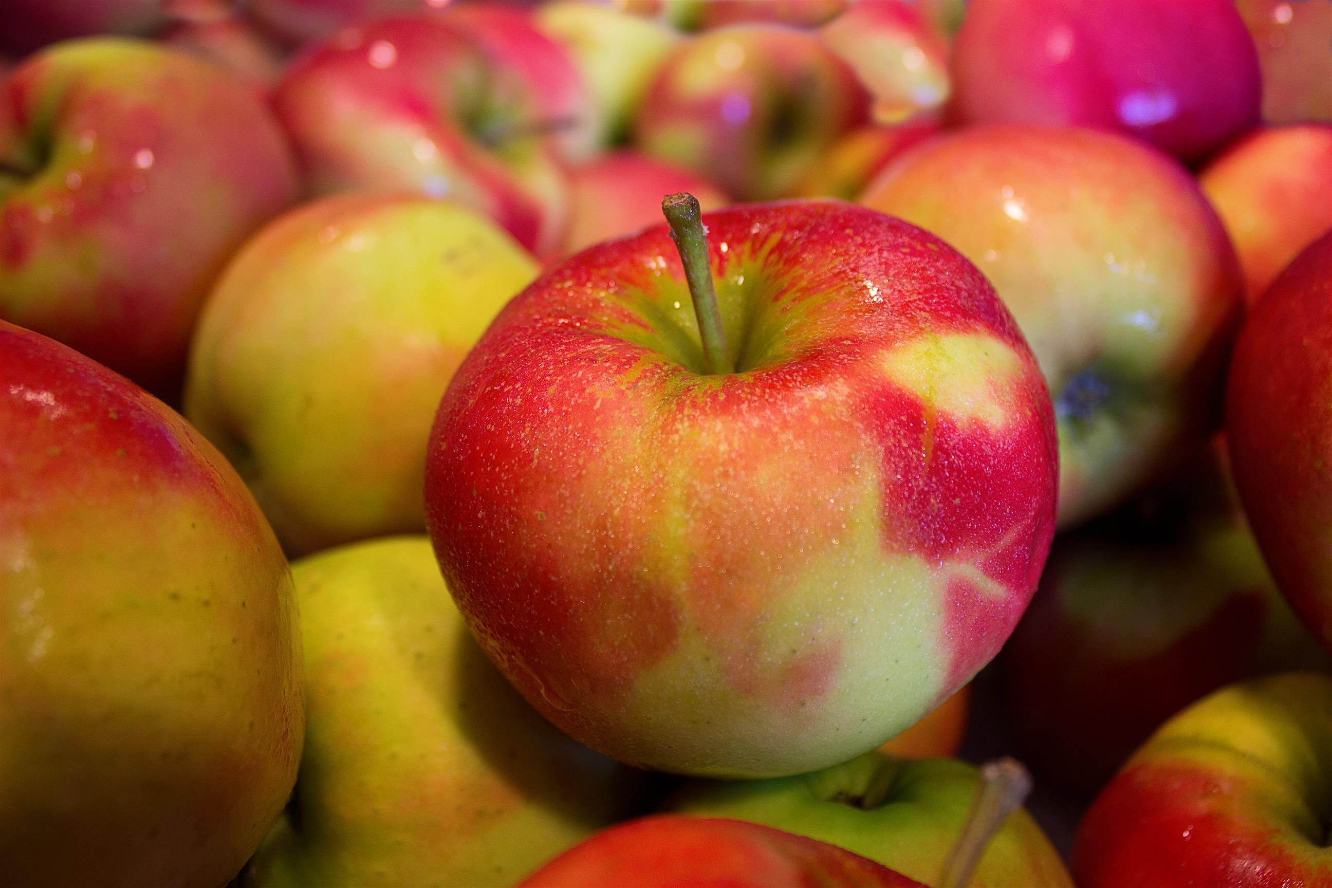 Apfel-Zimt-Kuchen vom Blech