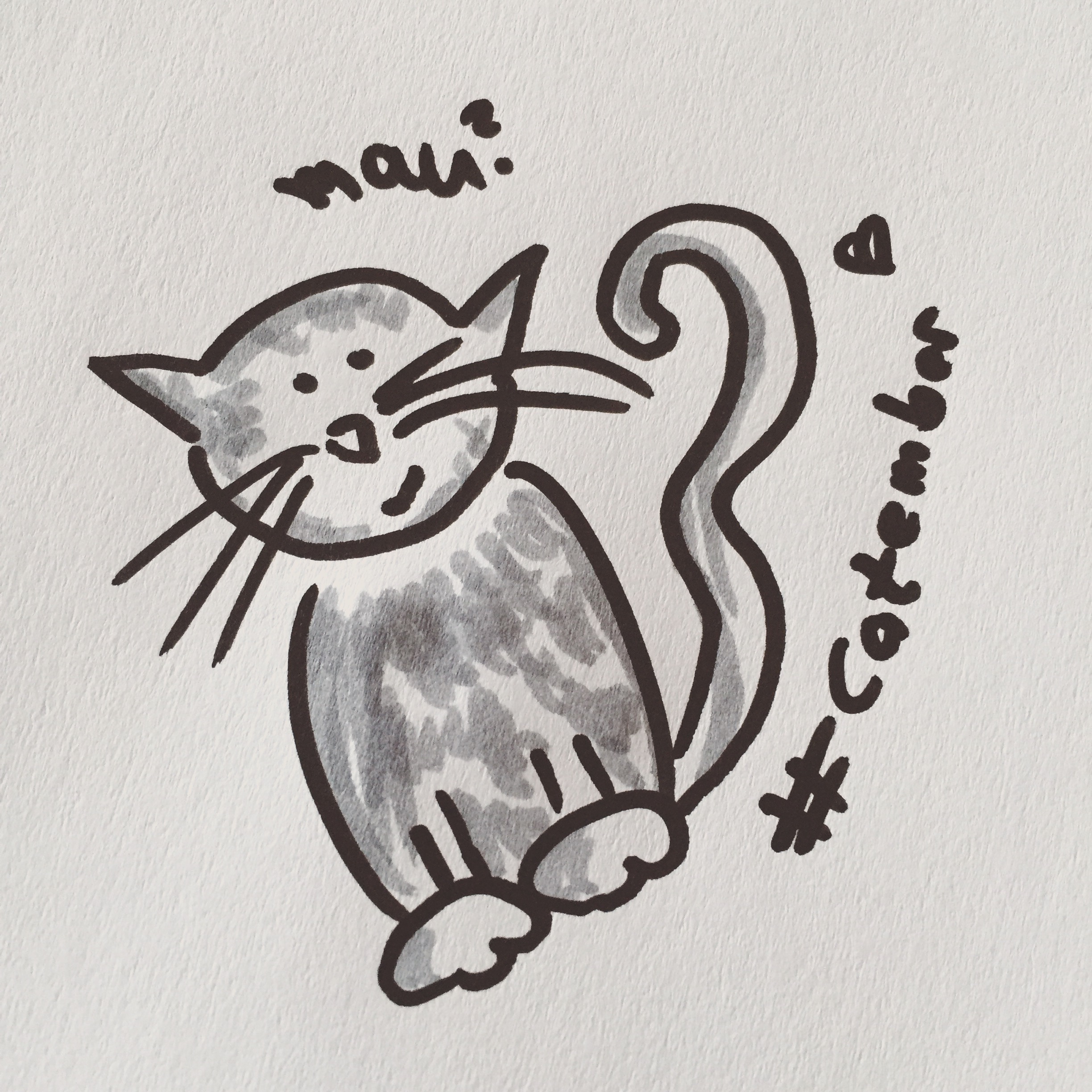 #Catember - 18