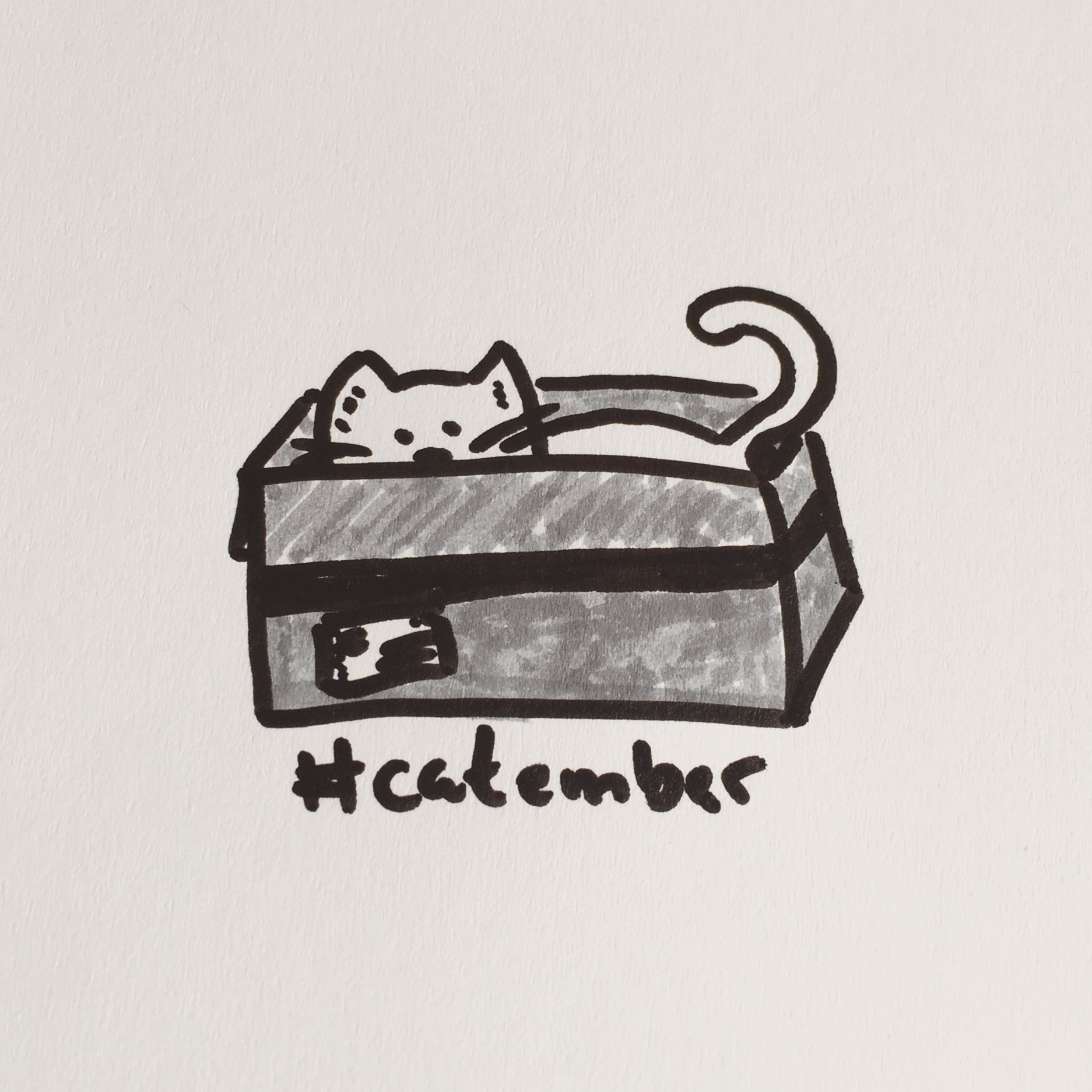 #Catember - 14