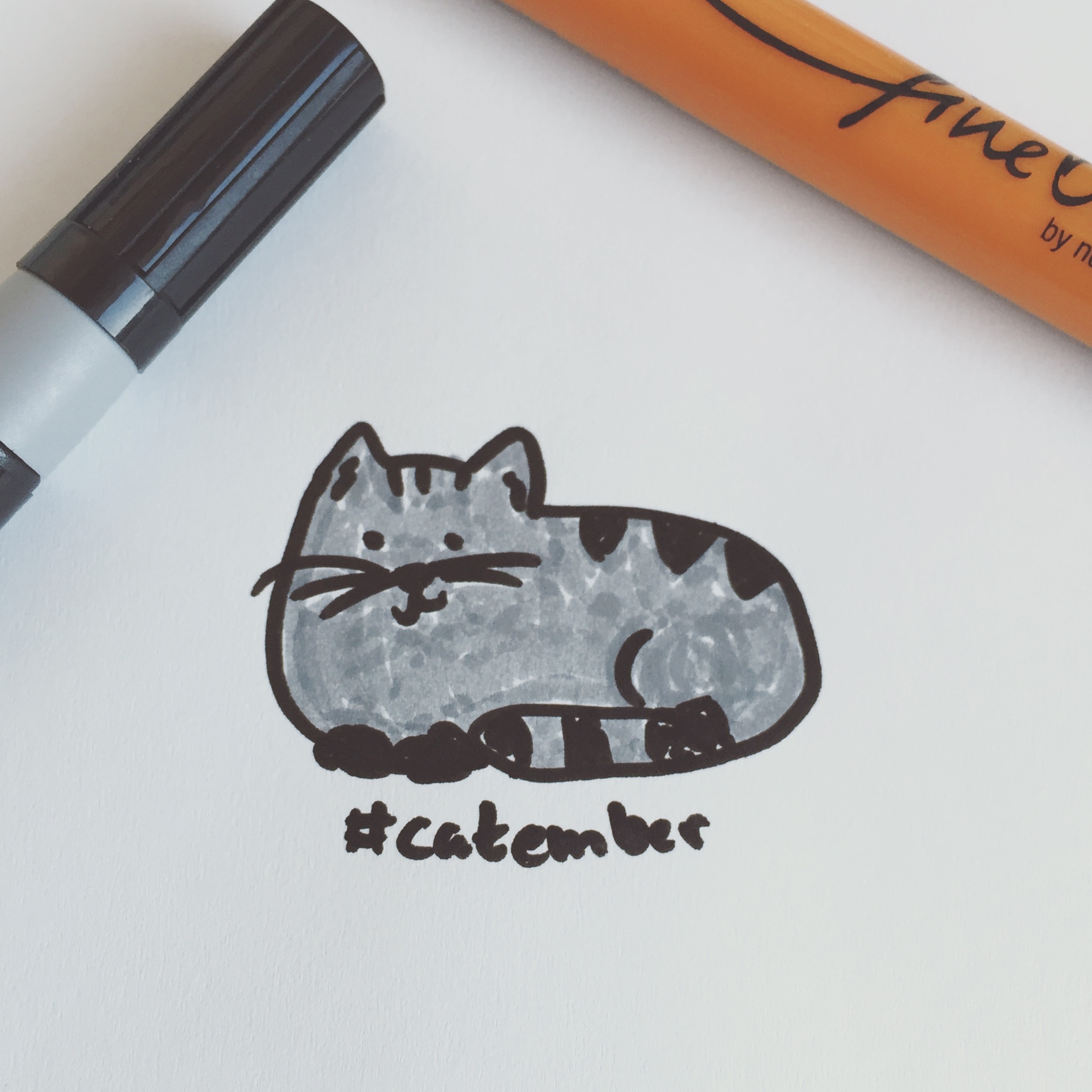 #Catember - 13