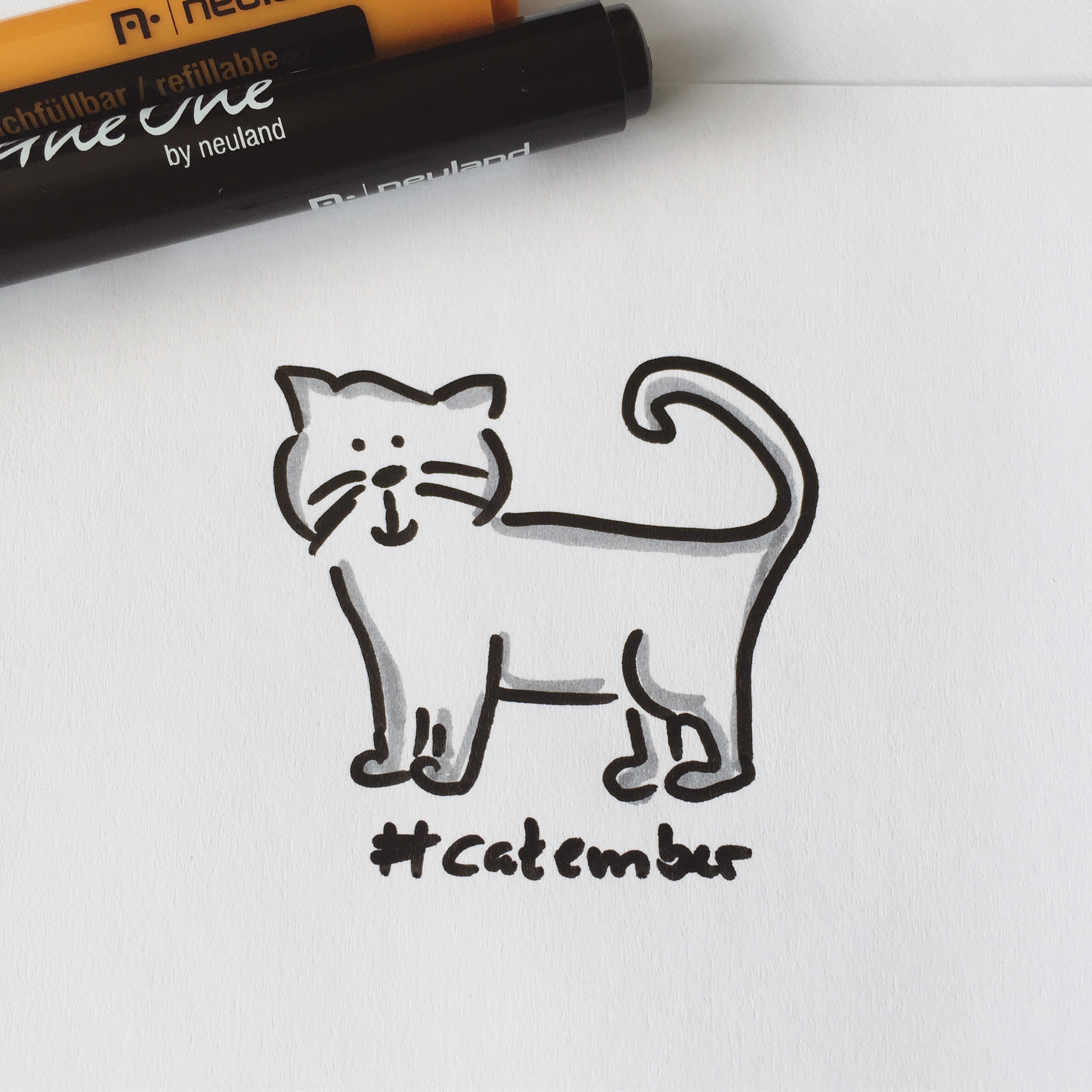 #Catember - 11